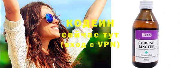 шишки Карпинск