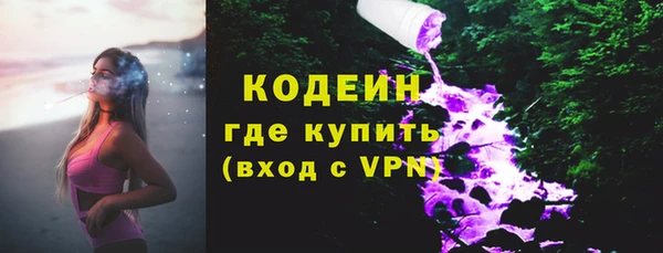 шишки Карпинск