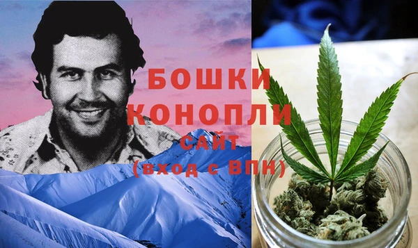 шишки Карпинск