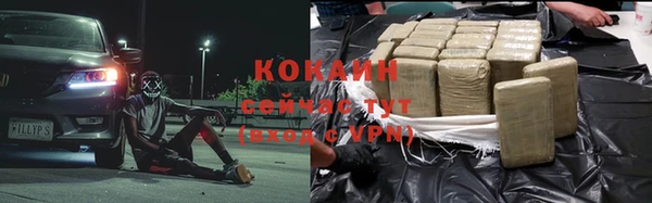 прущие грибы Киреевск