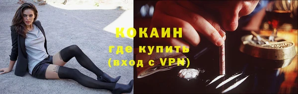 тгк Касимов