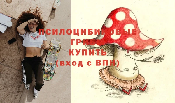 гидропоника Киренск