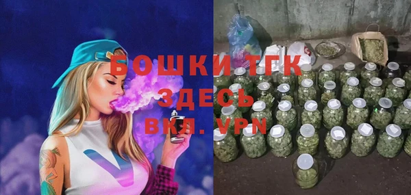 тгк Касимов