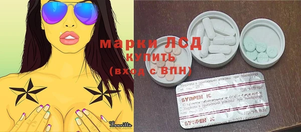 шишки Карпинск
