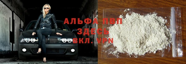 шишки Карпинск