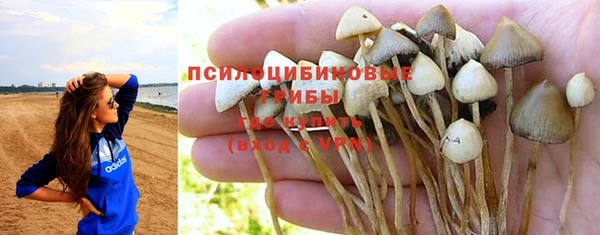шишки Карпинск