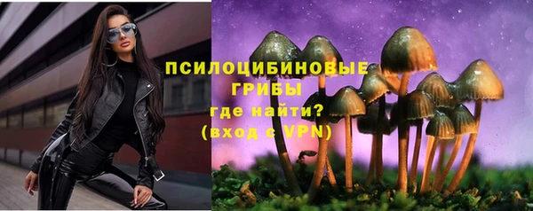 тгк Касимов