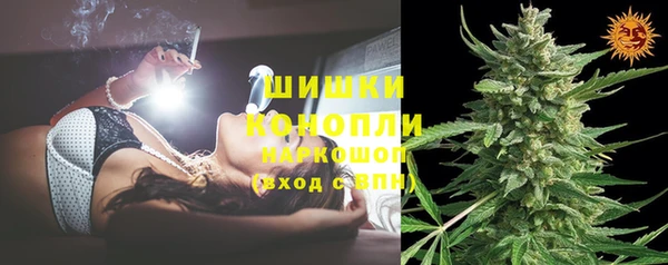 шишки Карпинск