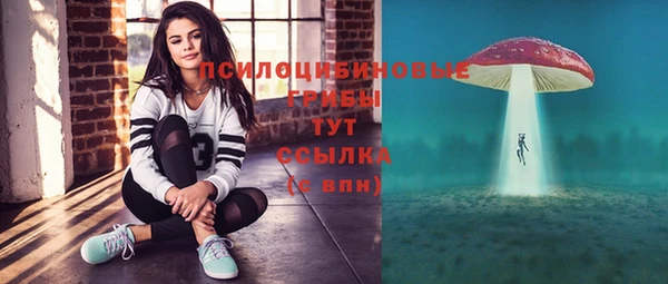 шишки Карпинск